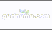 دوقطبی الکتریکی
