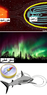 اثرات میدان مغناطیسی زمین