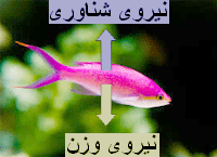 نیروی شناوری وارد بر ماهی در آب